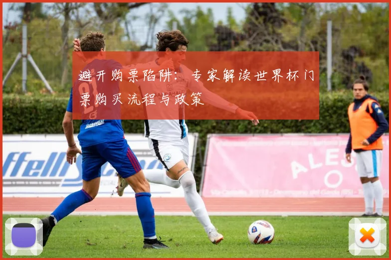 避开购票陷阱：专家解读世界杯门票购买流程与政策